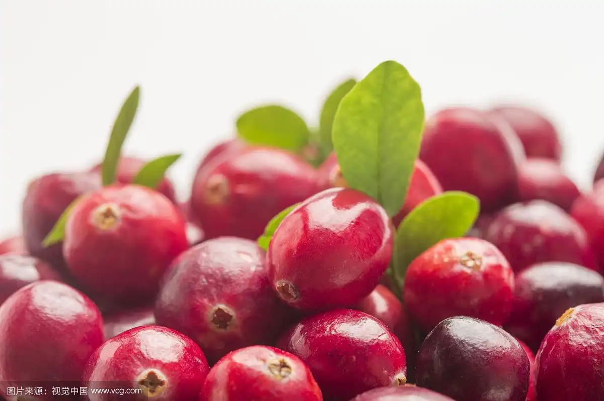 How Cranberry Extract Supports Urinary Tract Health in Women
